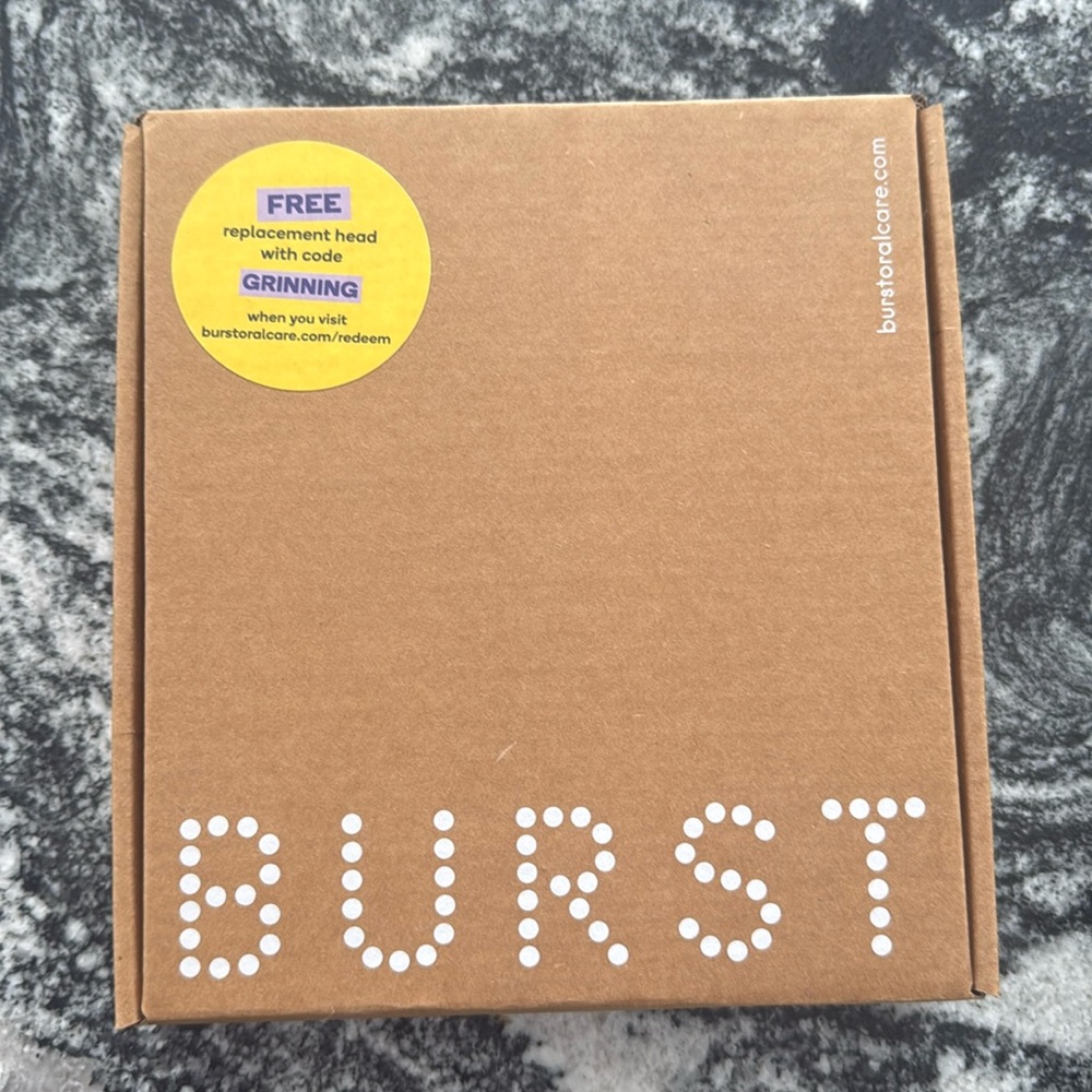 Burst electric brush with charger